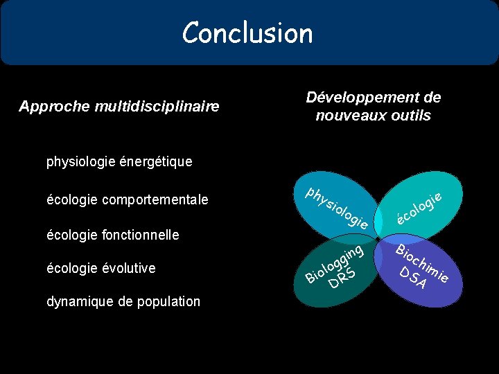 Conclusion Approche multidisciplinaire Développement de nouveaux outils physiologie énergétique écologie comportementale ph y sio