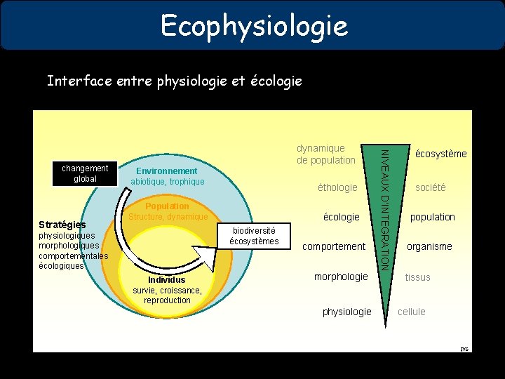 Ecophysiologie Interface entre physiologie et écologie Stratégies Environnement abiotique, trophique éthologie Population Structure, dynamique