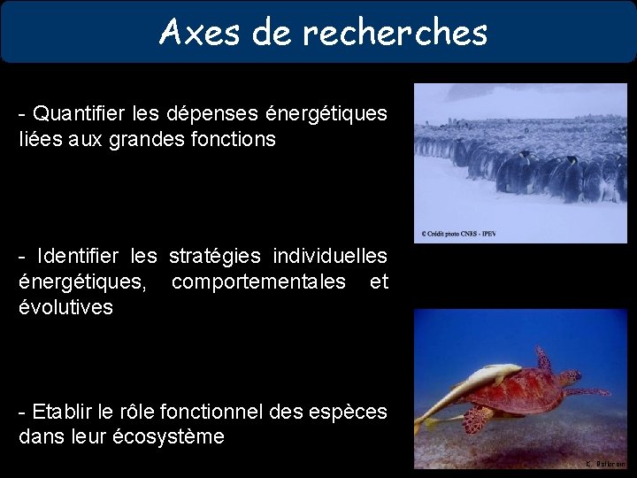 Axes de recherches - Quantifier les dépenses énergétiques liées aux grandes fonctions - Identifier