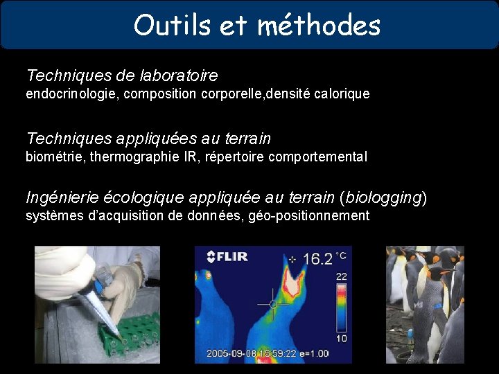 Outils et méthodes Techniques de laboratoire endocrinologie, composition corporelle, densité calorique Techniques appliquées au