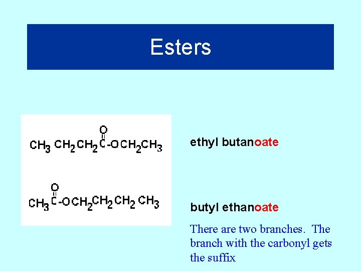 Esters ethyl butanoate butyl ethanoate There are two branches. The branch with the carbonyl