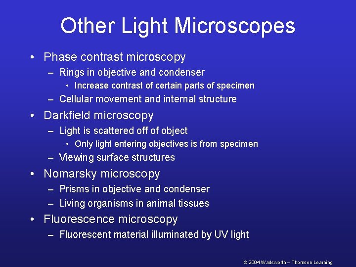 Other Light Microscopes • Phase contrast microscopy – Rings in objective and condenser •