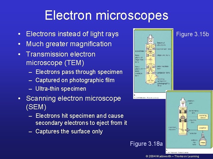 Electron microscopes • Electrons instead of light rays • Much greater magnification • Transmission