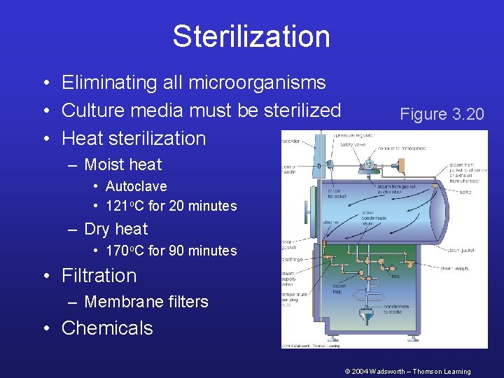 Sterilization • Eliminating all microorganisms • Culture media must be sterilized • Heat sterilization