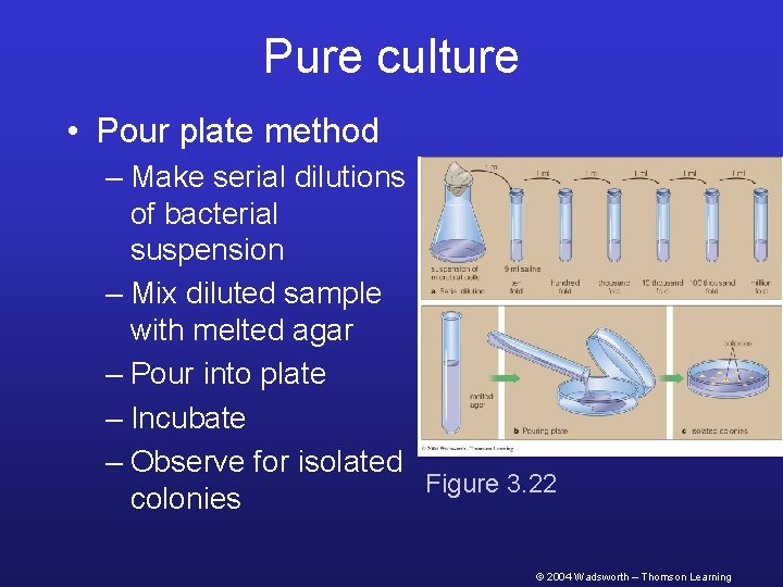Pure culture • Pour plate method – Make serial dilutions of bacterial suspension –
