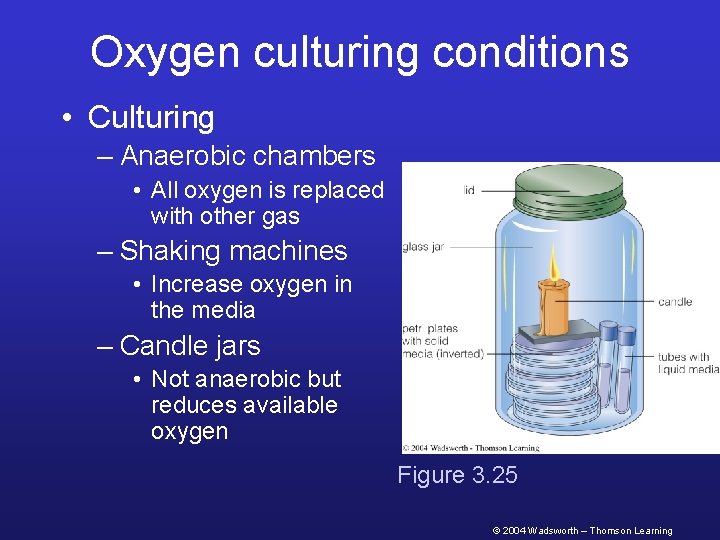 Oxygen culturing conditions • Culturing – Anaerobic chambers • All oxygen is replaced with