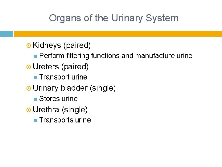 THE URINARY SYSTEM Introduction Function of Urinary System