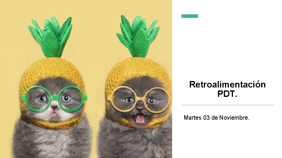 Retroalimentación PDT. Martes 03 de Noviembre. 