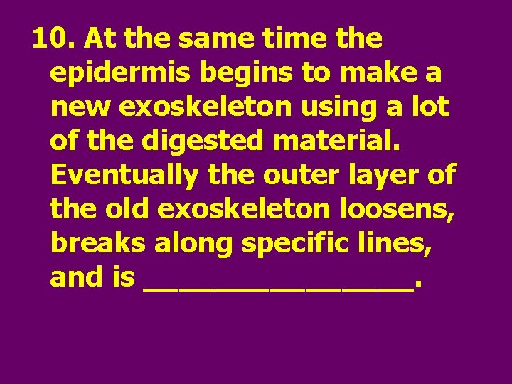 10. At the same time the epidermis begins to make a new exoskeleton using