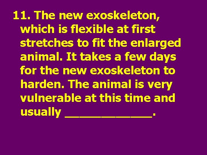 11. The new exoskeleton, which is flexible at first stretches to fit the enlarged