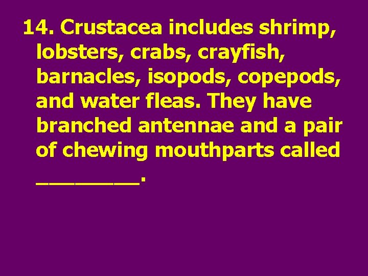 14. Crustacea includes shrimp, lobsters, crabs, crayfish, barnacles, isopods, copepods, and water fleas. They