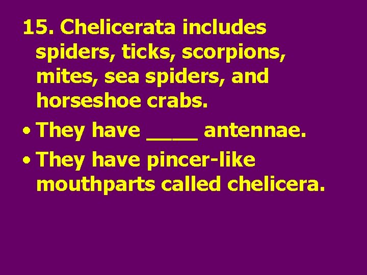 15. Chelicerata includes spiders, ticks, scorpions, mites, sea spiders, and horseshoe crabs. • They