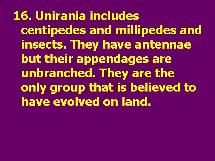 16. Unirania includes centipedes and millipedes and insects. They have antennae but their appendages