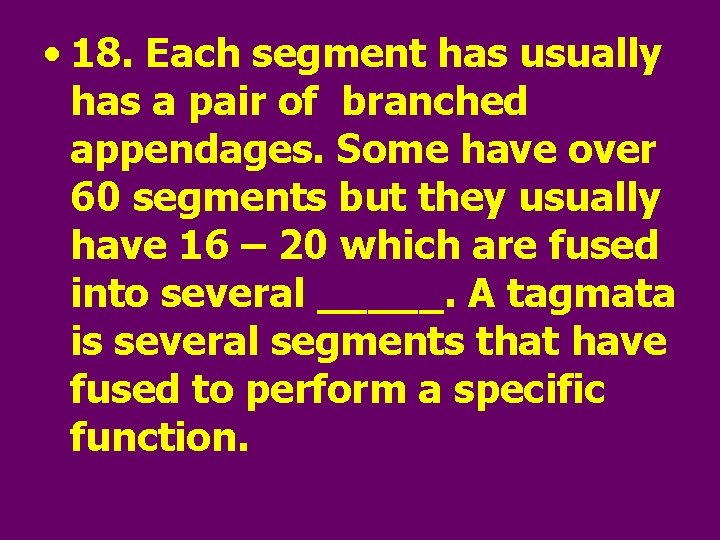  • 18. Each segment has usually has a pair of branched appendages. Some