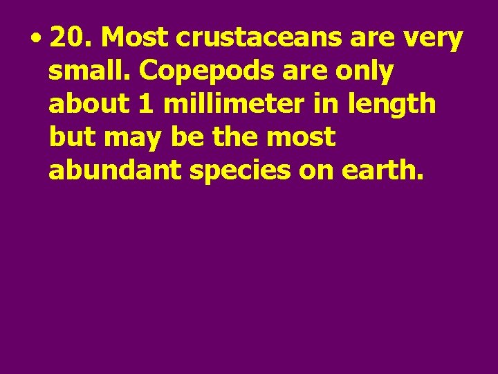  • 20. Most crustaceans are very small. Copepods are only about 1 millimeter