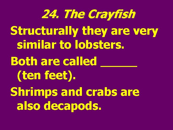 24. The Crayfish Structurally they are very similar to lobsters. Both are called _____