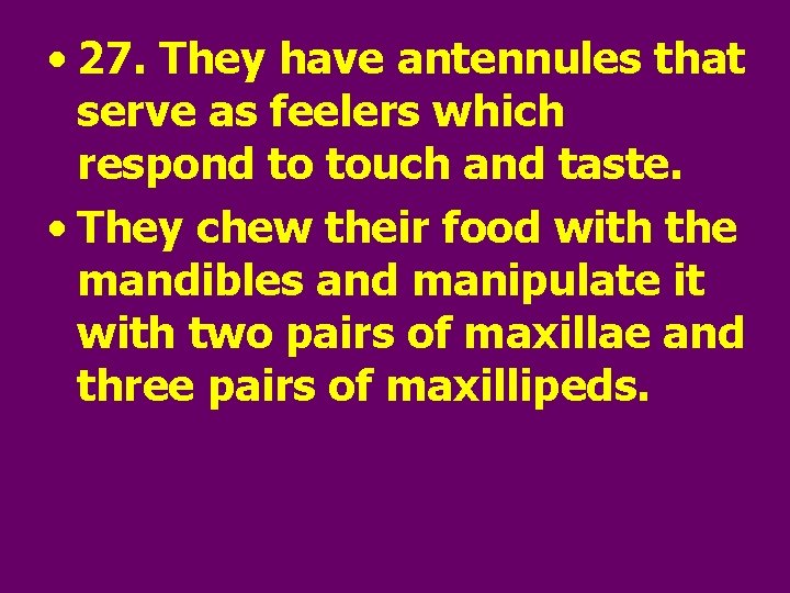  • 27. They have antennules that serve as feelers which respond to touch