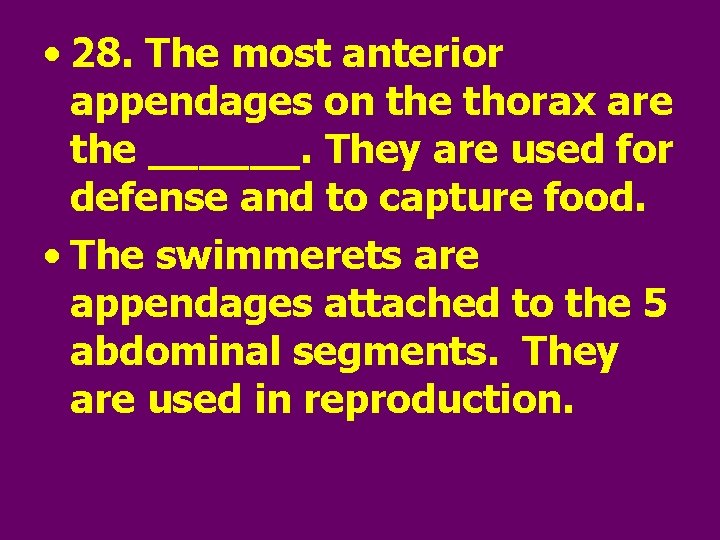  • 28. The most anterior appendages on the thorax are the ______. They