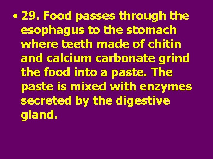  • 29. Food passes through the esophagus to the stomach where teeth made