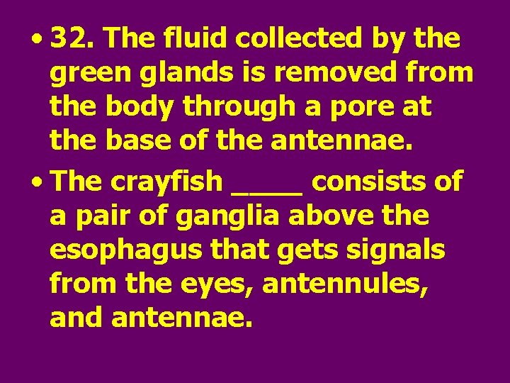  • 32. The fluid collected by the green glands is removed from the