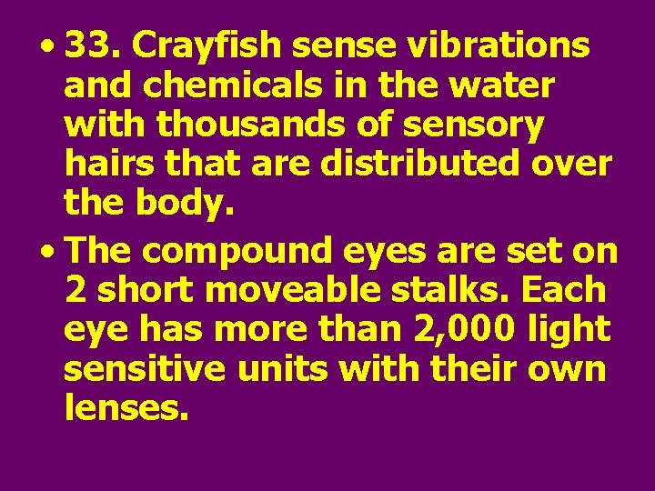  • 33. Crayfish sense vibrations and chemicals in the water with thousands of