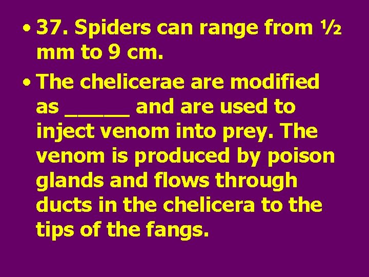  • 37. Spiders can range from ½ mm to 9 cm. • The