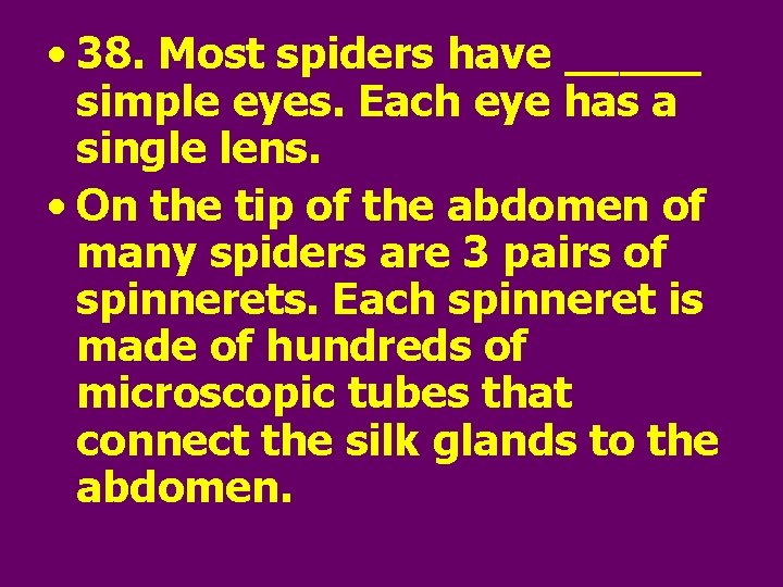  • 38. Most spiders have _____ simple eyes. Each eye has a single