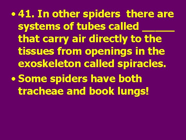  • 41. In other spiders there are systems of tubes called _____ that