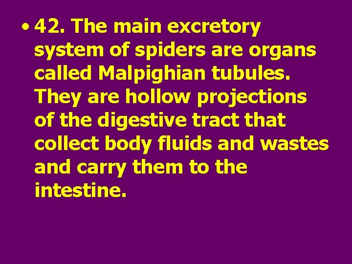  • 42. The main excretory system of spiders are organs called Malpighian tubules.