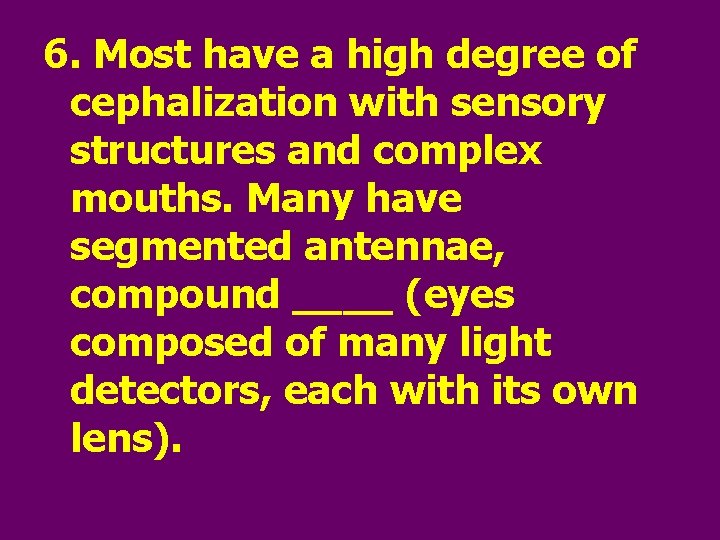 6. Most have a high degree of cephalization with sensory structures and complex mouths.