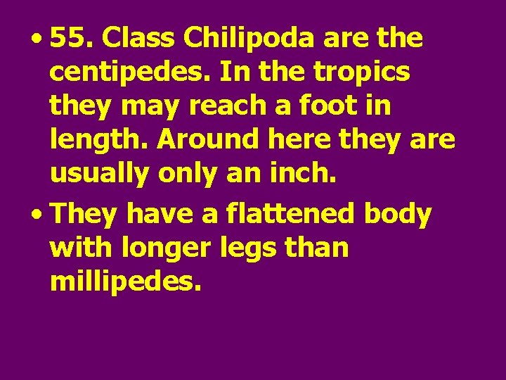  • 55. Class Chilipoda are the centipedes. In the tropics they may reach