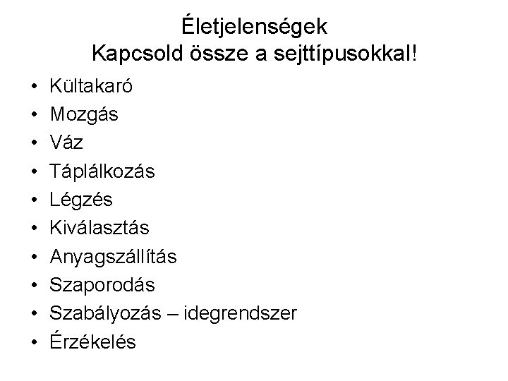 Életjelenségek Kapcsold össze a sejttípusokkal! • • • Kültakaró Mozgás Váz Táplálkozás Légzés Kiválasztás