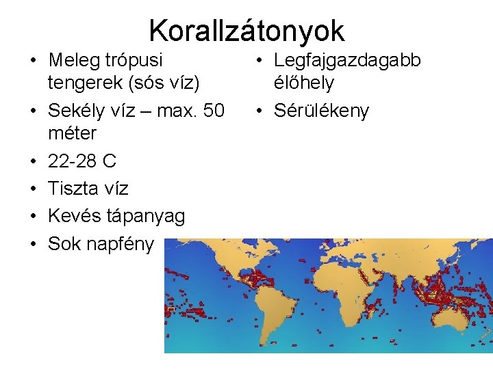 Korallzátonyok • Meleg trópusi tengerek (sós víz) • Sekély víz – max. 50 méter