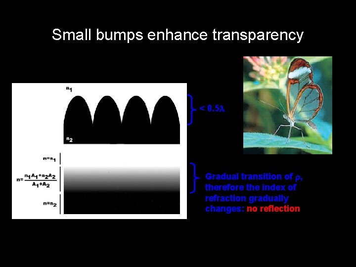 Small bumps enhance transparency < 0. 5 Gradual transition of , therefore the index