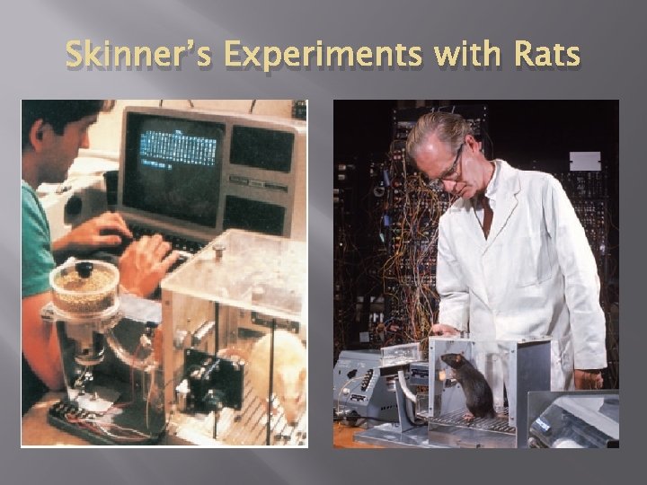 Skinner’s Experiments with Rats 