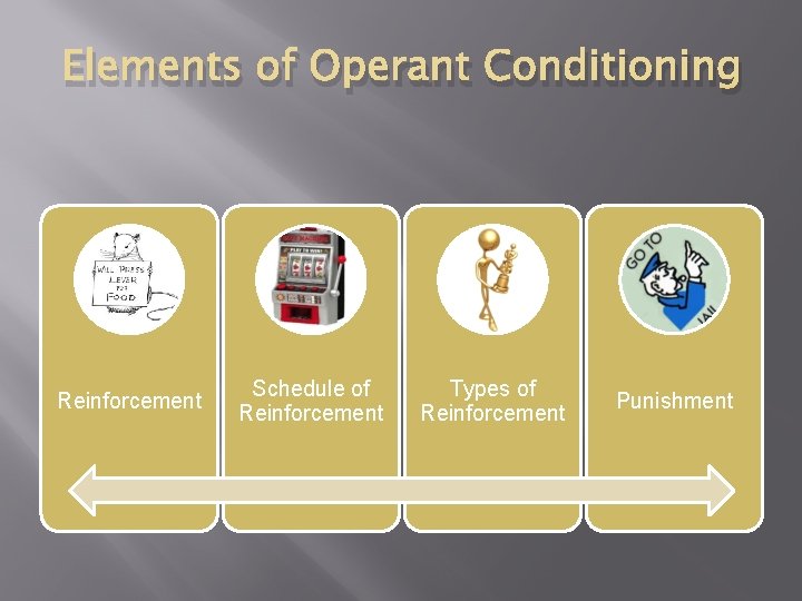 Elements of Operant Conditioning Reinforcement Schedule of Reinforcement Types of Reinforcement Punishment 