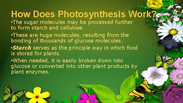 How Does Photosynthesis Work? • The sugar molecules may be processed further to form