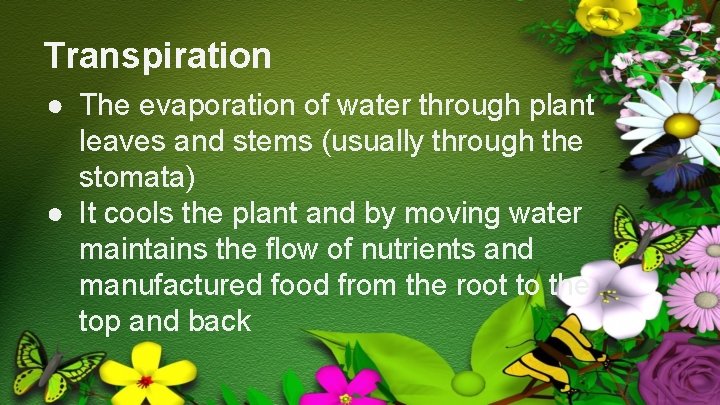 Transpiration ● The evaporation of water through plant leaves and stems (usually through the