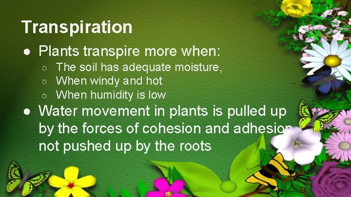 Transpiration ● Plants transpire more when: ○ ○ ○ The soil has adequate moisture,