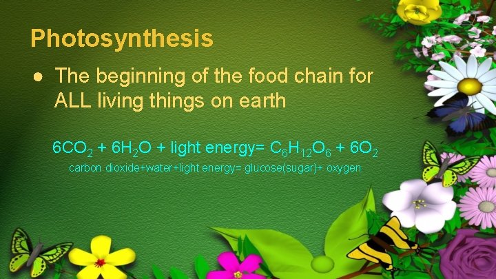 Photosynthesis ● The beginning of the food chain for ALL living things on earth