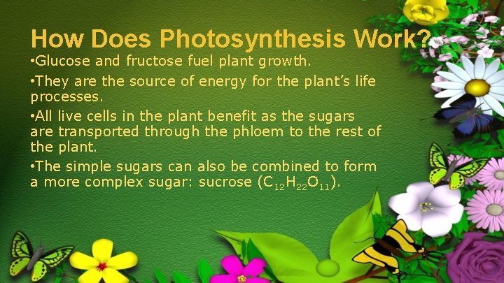 How Does Photosynthesis Work? • Glucose and fructose fuel plant growth. • They are