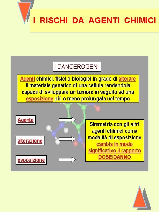 I RISCHI DA AGENTI CHIMICI 