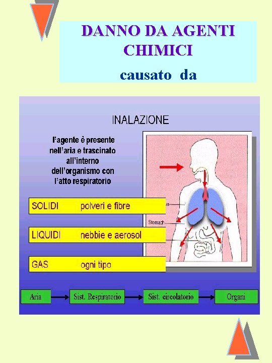 DANNO DA AGENTI CHIMICI causato da 