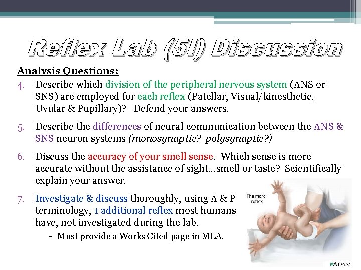 Reflex Lab (5 I) Discussion Analysis Questions: 4. Describe which division of the peripheral