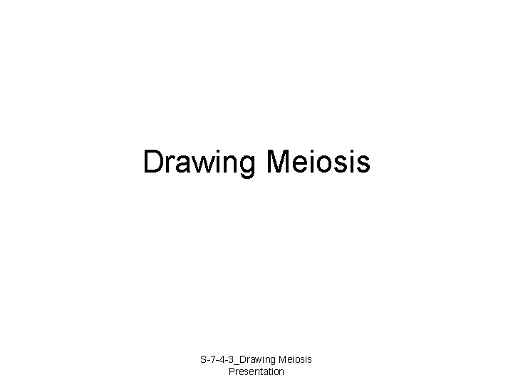 Drawing Meiosis S-7 -4 -3_Drawing Meiosis Presentation 