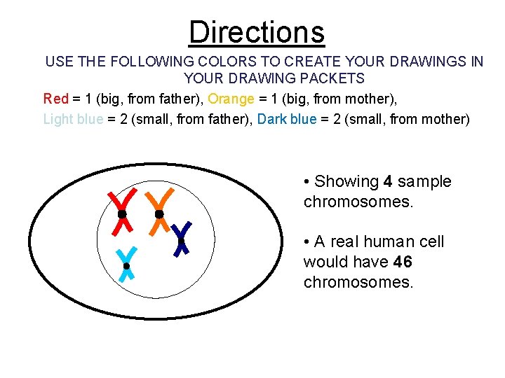 Directions USE THE FOLLOWING COLORS TO CREATE YOUR DRAWINGS IN YOUR DRAWING PACKETS Red