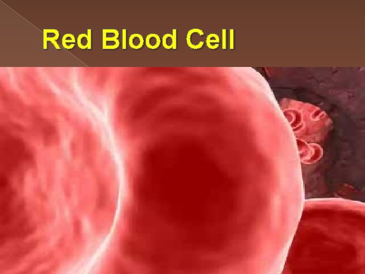 Red Blood Cell 
