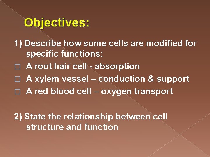 Objectives: 1) Describe how some cells are modified for specific functions: � A root