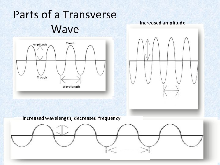 Parts of a Transverse Wave Increased wavelength, decreased frequency Increased amplitude Parts of a Transverse Wave Increased wavelength, decreased frequency Increased amplitude