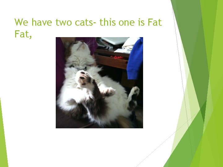 We have two cats- this one is Fat, 